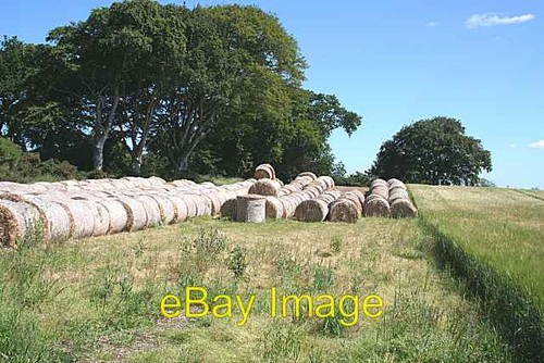 Foto 6x4 strohballen bei - 6x4,