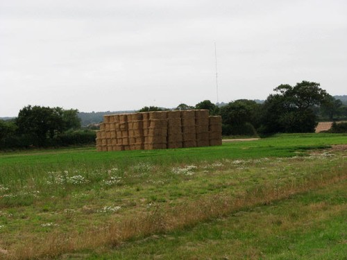 Foto 6x4 blick - nach, südwesten