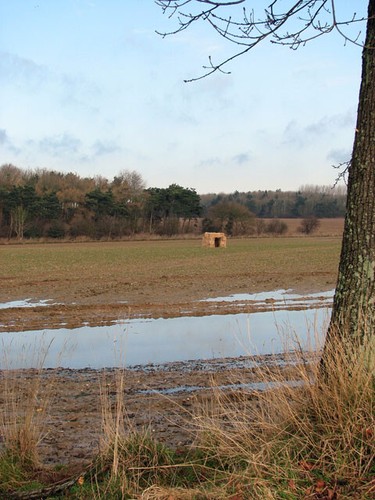 Foto 6x4 strohballenfell - 6x4,