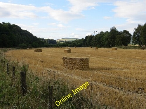 Foto 6x4 gerstenstroh rothes - foto,