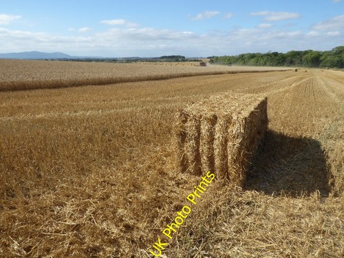Foto 6x4 strohballen - 6x4,