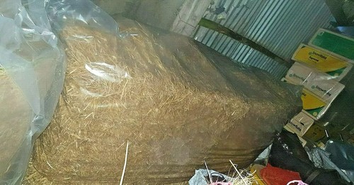 8ft heston heu - x, big