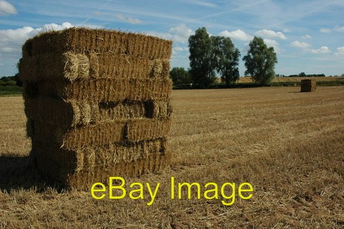 Foto 6x4 strohballen earl - foto,